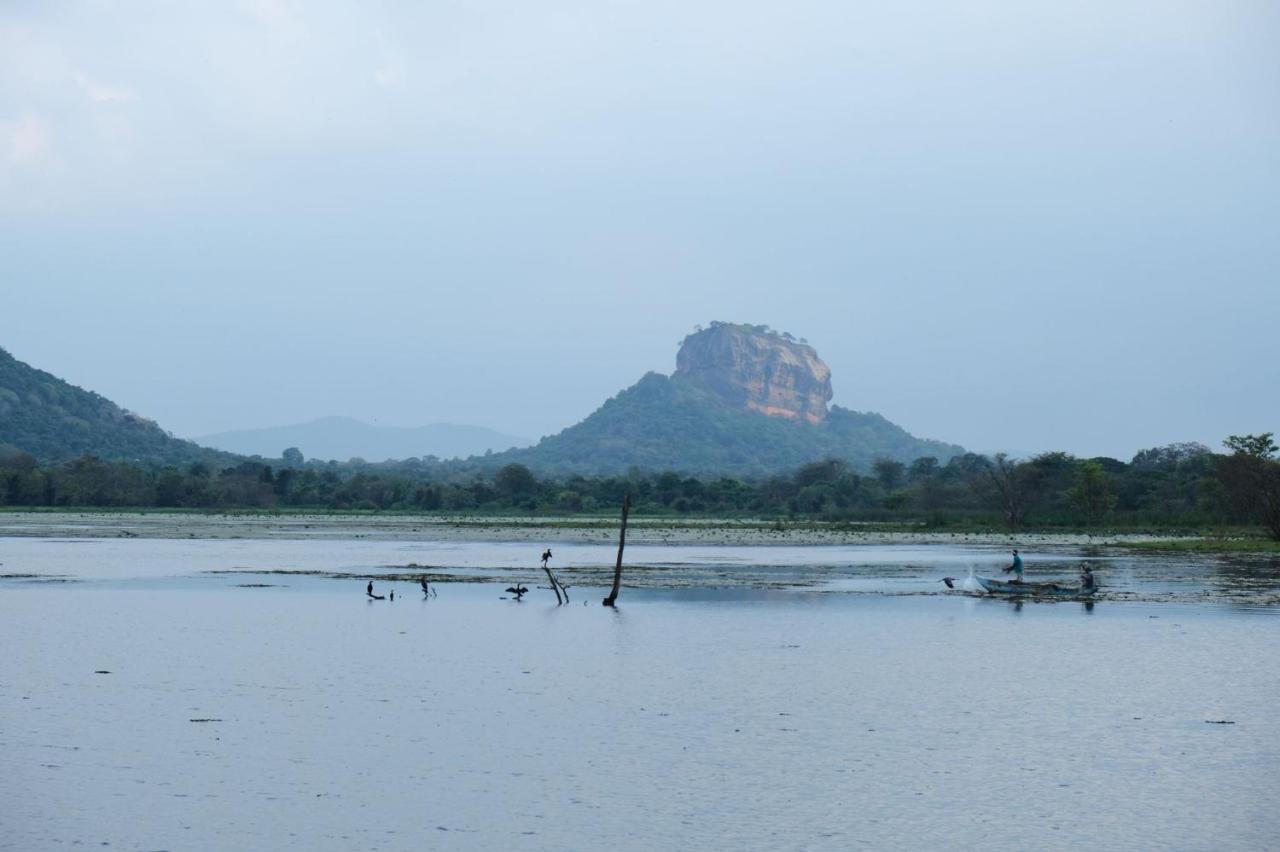Ruk Sewana Villa Tree House Sigiriya Dış mekan fotoğraf