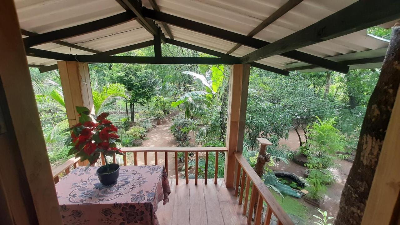 Ruk Sewana Villa Tree House Sigiriya Dış mekan fotoğraf