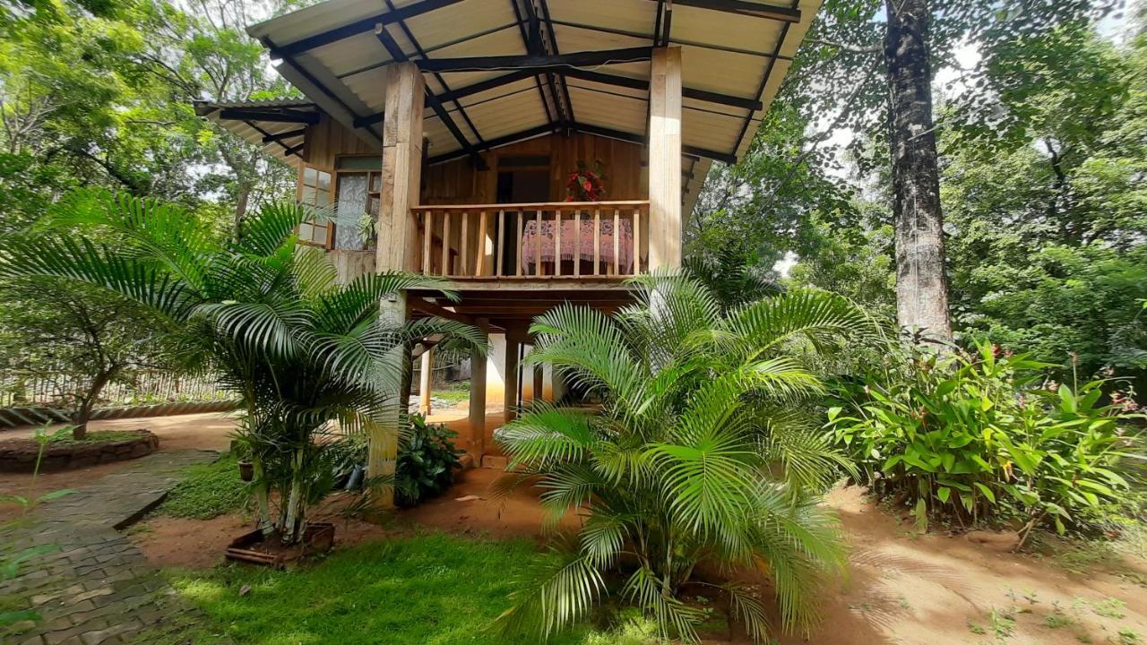 Ruk Sewana Villa Tree House Sigiriya Dış mekan fotoğraf