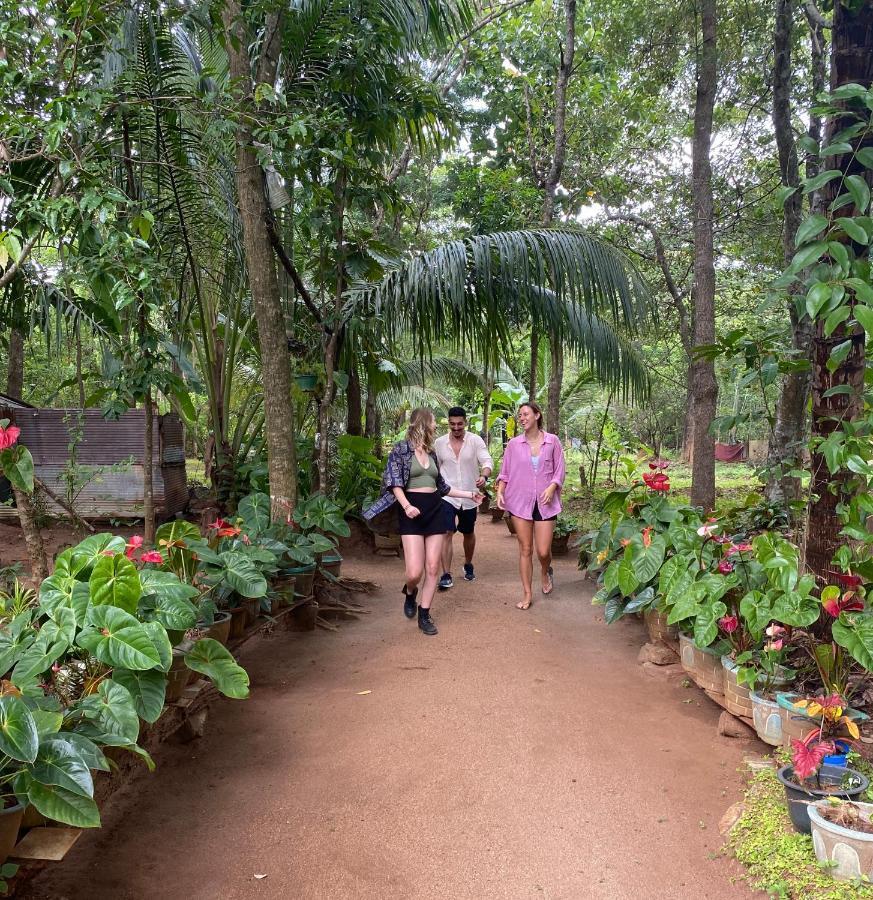 Ruk Sewana Villa Tree House Sigiriya Dış mekan fotoğraf