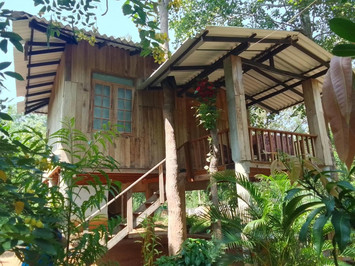 Ruk Sewana Villa Tree House Sigiriya Dış mekan fotoğraf
