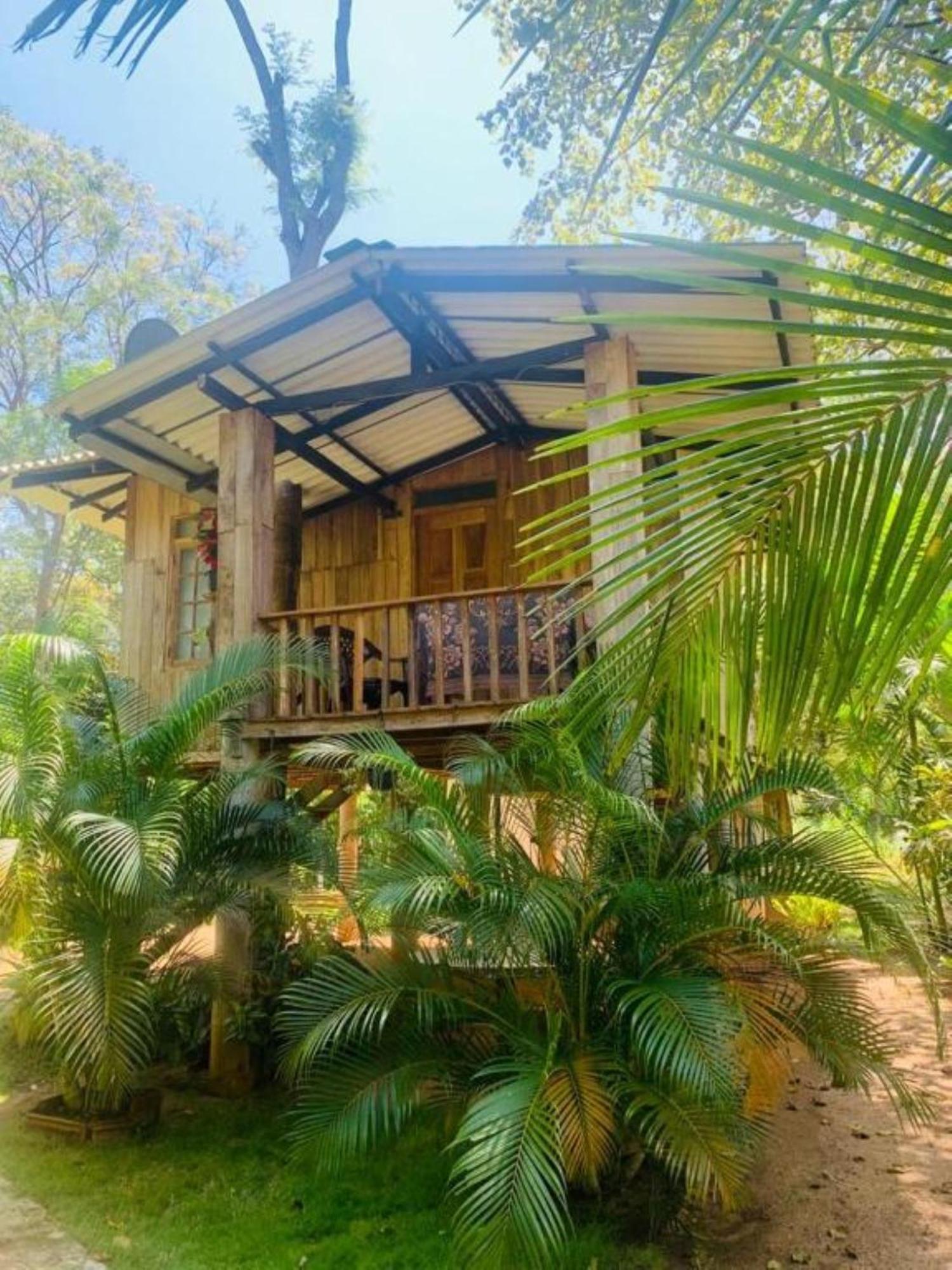 Ruk Sewana Villa Tree House Sigiriya Dış mekan fotoğraf